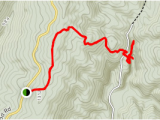 Tennessee Caves Map Buggytop Trail to Lost Cove Cave Tennessee Alltrails