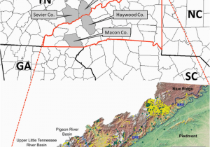 Tennessee River Maps Locations Of the Pigeon River Basin and Coweeta River Basin A