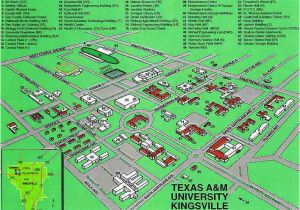 Texas A&amp;m Kingsville Campus Map Tamu Kingsville Campus Map by Chris Silver Smith