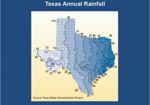 Texas Average Rainfall Map Texas Average Rainfall Map Business Ideas 2013