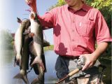 Texas Bank Fishing Map Catching Catfish From Shore In Fisherman
