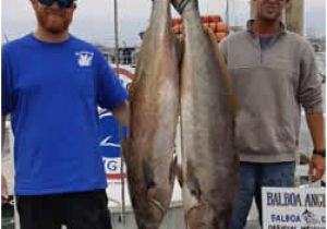 Texas Bank Fishing Map Jds Big Game Fish Report