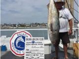 Texas Bank Fishing Map Jds Big Game Fish Report