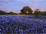 Texas Bluebonnet Trail Map the 15 Best Things to Do In Llano 2019 with Photos Tripadvisor