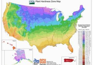 Texas Climate Zone Map State Maps Of Usda Plant Hardiness Zones