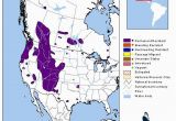 Texas Deer Population Map Elk Montana Field Guide