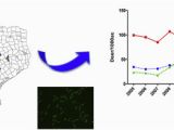 Texas Deer Population Map Seroprevalence Of Borrelia Burgdorferi Antibodies In White Tailed