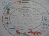 Texas Ecosystems Map Ecosystem Community and Population Concentric Circle Map Would