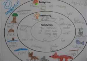 Texas Ecosystems Map Ecosystem Community and Population Concentric Circle Map Would