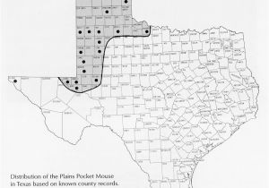 Texas High Plains Map Texas High Plains Map Business Ideas 2013