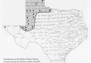 Texas High Plains Map Texas High Plains Map Business Ideas 2013