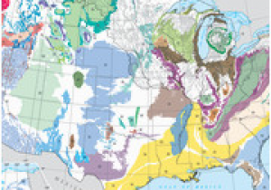 Texas Underground Water Maps How Can I Find the Depth to the Water Table In A Specific Location