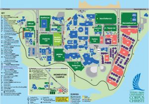 Texas Wesleyan University Campus Map Tamucc Campus Map Camping Map