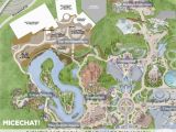 Theme Parks In California Map Disneyland Park Map California Fresh Disney S Animal Kingdom Map