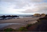 Tide Pools oregon Coast Map Seal Rock Tide Pools Bild Von Seal Rock State Park Seal Rock