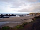 Tide Pools oregon Coast Map Seal Rock Tide Pools Bild Von Seal Rock State Park Seal Rock