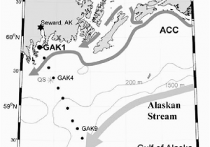 Tidewater oregon Map Map Of the northern Gulf Of Alaska Including Gak1 Large Dot and