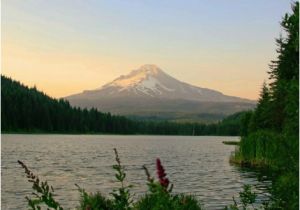 Timothy Lake oregon Map 6 Best Views Of Mt Hood where S the Best View Of Mt Hood