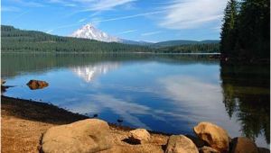 Timothy Lake oregon Map Timothy Lake oregon Best Camping Spot Good for Kayaking Swimming