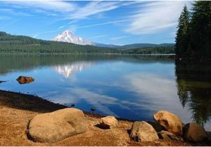 Timothy Lake oregon Map Timothy Lake oregon Best Camping Spot Good for Kayaking Swimming