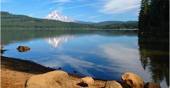 Timothy Lake oregon Map Timothy Lake oregon Best Camping Spot Good for Kayaking Swimming