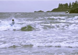 Tofino Canada Map Catching A Wave In tofino Picture Of Pacific Surf School tofino