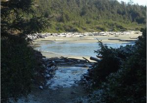 Tofino Canada Map Combers Beach Picture Of Long Beach tofino Tripadvisor