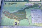 Tralee Ireland Map Map Of Trails Picture Of Ballyseedy Woods Tralee