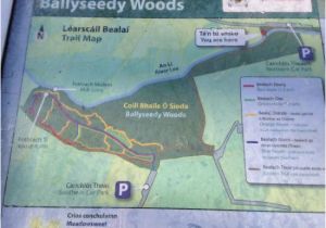 Tralee Ireland Map Map Of Trails Picture Of Ballyseedy Woods Tralee
