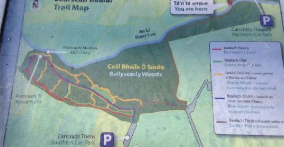 Tralee Ireland Map Map Of Trails Picture Of Ballyseedy Woods Tralee