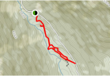 Trans Canada Trail Map Bc Old Growth Recreation Trail British Columbia Canada