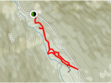 Trans Canada Trail Map Bc Old Growth Recreation Trail British Columbia Canada