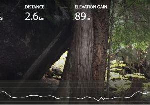 Trans Canada Trail Map Bc Old Growth Recreation Trail British Columbia Canada