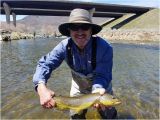 Trout Fishing In Tennessee Map Utah Pro Fly Fishing Park City 2019 All You Need to Know before