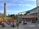 University Of California Riverside Map University Of California Riverside Profile Rankings and Data