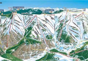 Vail Colorado Maps the Back Bowls Vail Co Colorado Pinterest Skiing Trail