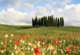 Val D orcia Italy Map 24 Hours In Val D orcia Itinerary On What to See and Do In A Day In