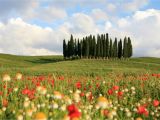Val D orcia Italy Map 24 Hours In Val D orcia Itinerary On What to See and Do In A Day In