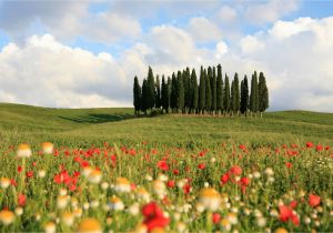 Val D orcia Italy Map 24 Hours In Val D orcia Itinerary On What to See and Do In A Day In