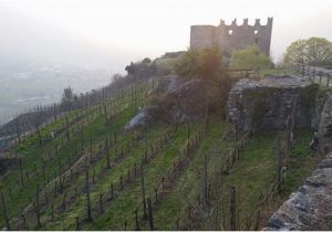 Valtellina Italy Map the Castle Picture Of Castel Grumello Montagna In Valtellina