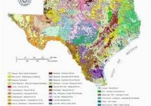 Vegetation Map Of Texas 10 Best Gardening Texas Weather Images Texas Weather Texas