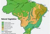 Vegetation Map Of Texas Caatinga Wikipedia