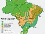 Vegetation Map Of Texas Caatinga Wikipedia