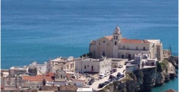 Vieste Italy Map Aussicht Von Der Terrasse Auf Vieste Picture Of B B Casanita