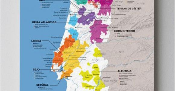 Vineyards In England Map Portugal Wine Map Wine Maps Wine Folly Portugal