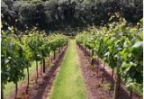 Vineyards In England Map the 10 Best Devon Wineries Vineyards with Photos