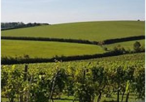 Vineyards In England Map the 10 Best south East England Wineries Vineyards with