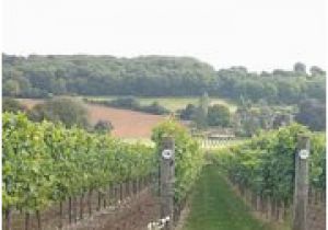 Vineyards In England Map the 10 Best south East England Wineries Vineyards with