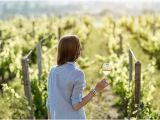 Vineyards In England Map the top 10 Kent Wineries Vineyards Tripadvisor