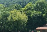 Walland Tennessee Map Whispering River Resort Updated 2019 Prices Campground Reviews